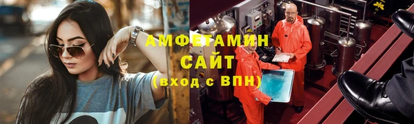гидра Володарск