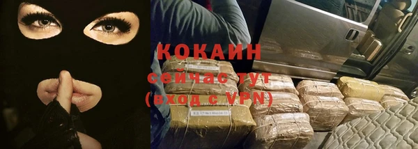 гидра Володарск