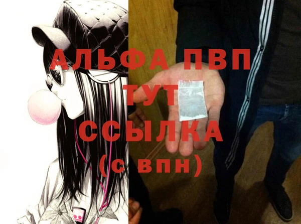 гидра Володарск
